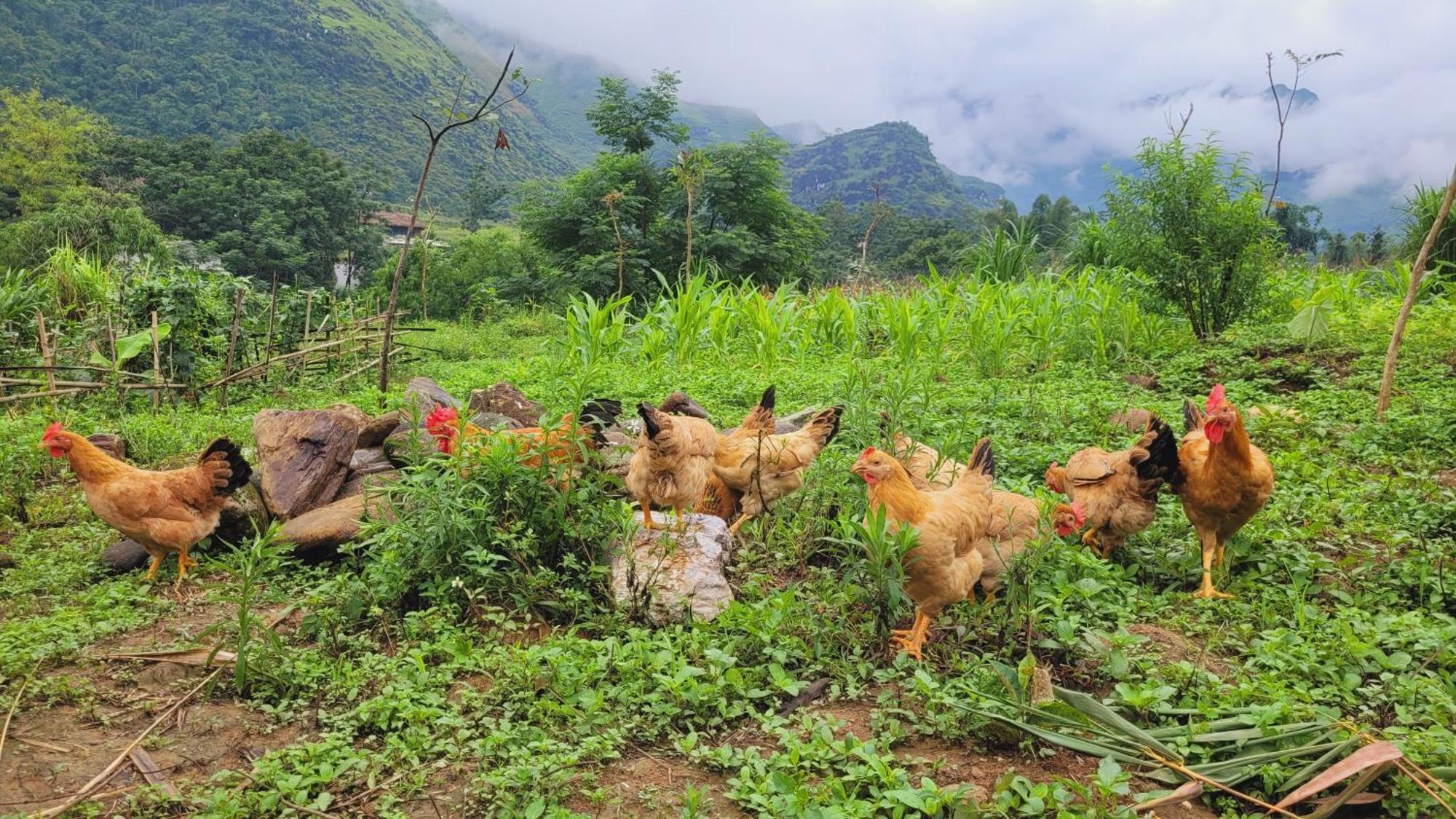 Du Gia View Homestay Lang Cac Ruang foto
